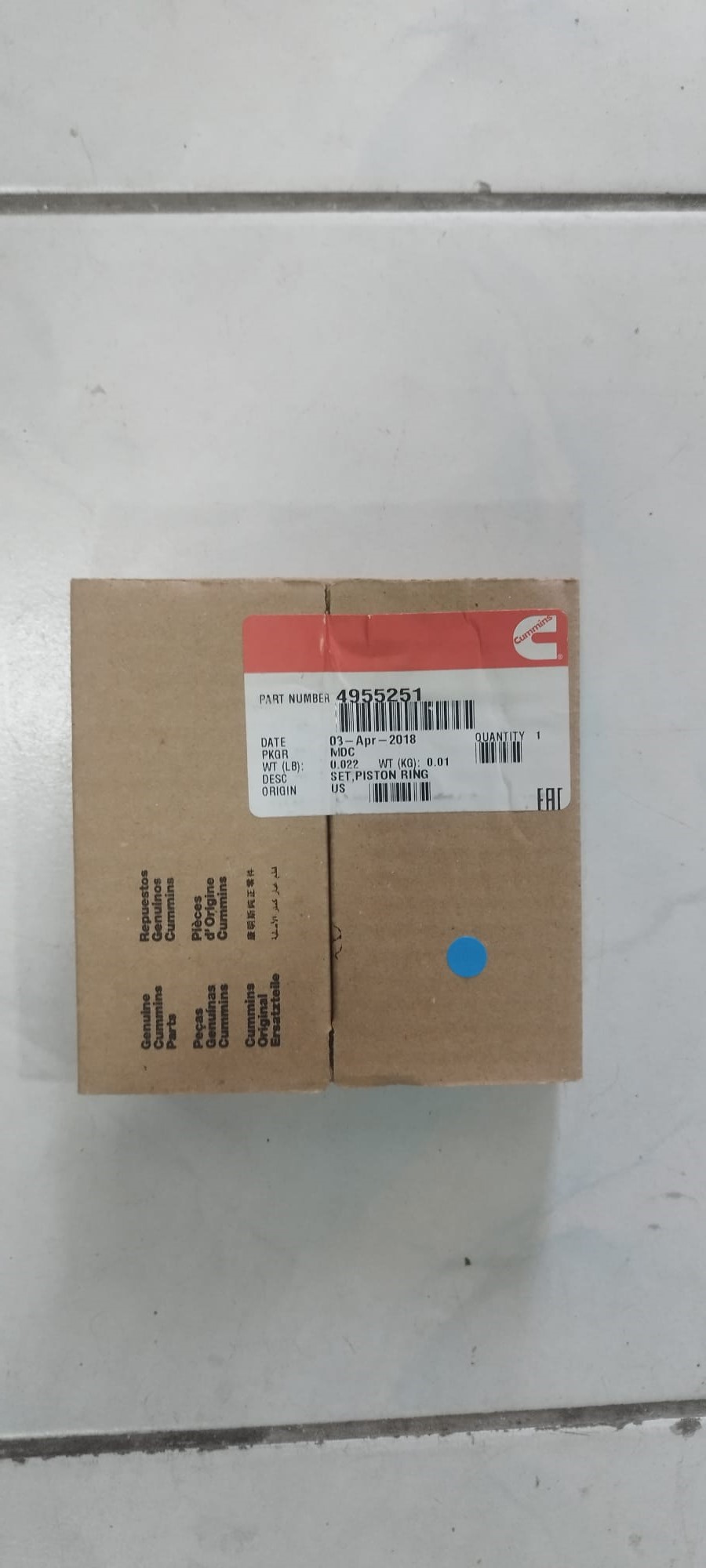 4955251 segman